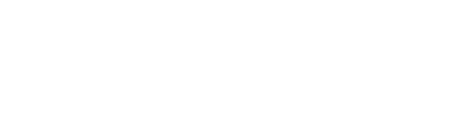 The 507